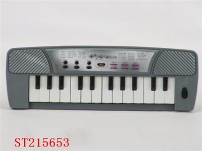 ELECTRONIC ORGAN - ST215653