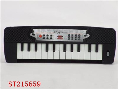 ELECTRONIC ORGAN - ST215659