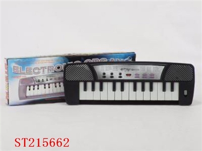 ELECTRONIC ORGAN - ST215662