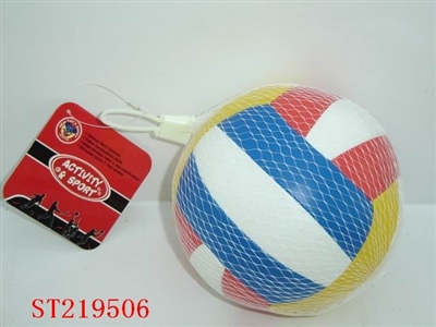 VOLLYBALL - ST219506