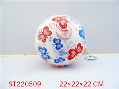 8.5INCH BALL SERIES(5 STYLES ASSORTED) - ST220509