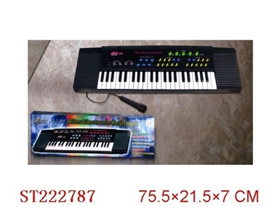 ELECTRONIC ORGAN - ST222787