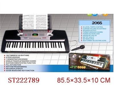 ELECTRONIC ORGAN - ST222789