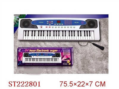 ELECTRONIC ORGAN - ST222801