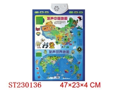 WALL CHARTS - ST230136