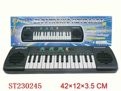 ELECTRONIC ORGAN（NOTHING BATTERY) - ST230245