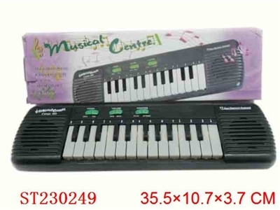 ELECTRONIC ORGAN(NOTHING BATTERY) - ST230249