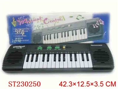 ELECTRONIC ORGAN(NOTHING BATTERY) - ST230250