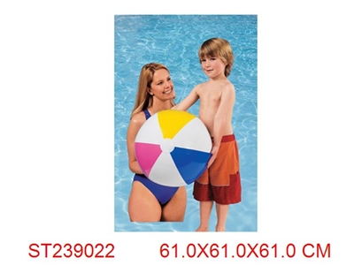 荧光嵌板沙滩球(Intex) - ST239022