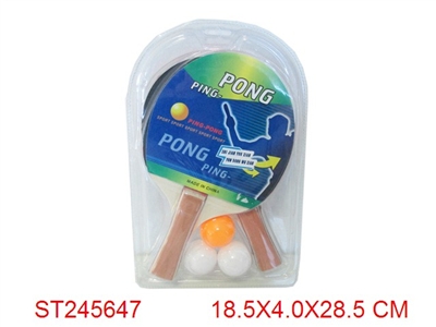 PINGPONG SET - ST245647