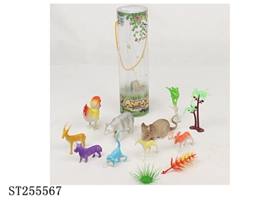 ANIMAL - ST255567