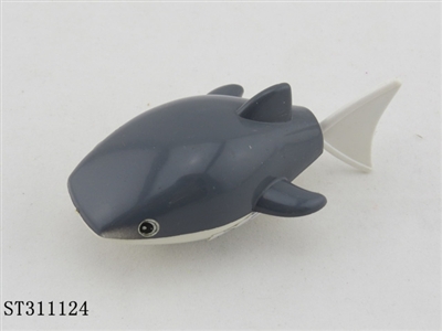 游尾扁嘴鲨 - ST311124