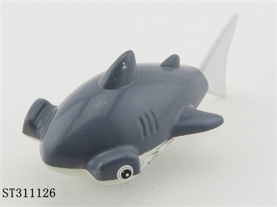 游尾公子鲨 - ST311126