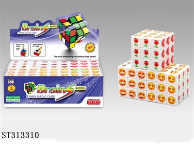 MAGIC CUBE/6PCS - ST313310