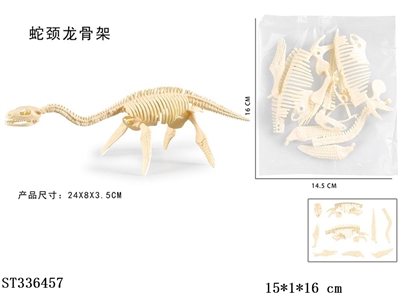 拼装蛇颈龙骨架 - ST336457