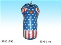 ST001793 - BOXING SET