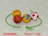 ST009086 - 