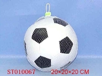 ST010067 - 7FOOTBALL