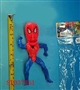 ST037561 - 