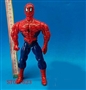 ST037623 - 