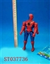 ST037736 - 