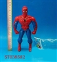 ST038582 - 