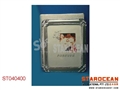 ST040400 - 10 PHOTOGRAPH FRAME