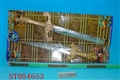 ST054653 - 