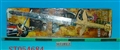 ST054684 - 