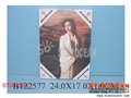ST092304 - 1724无框画