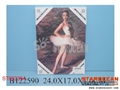 ST092394 - 1724　WALL DRAW