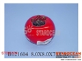 ST093104 - PERSIMMON