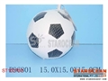 ST102793 - 6FOOTBALL