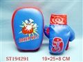 ST194291 - BOXING SET