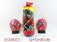 ST226377 - BOXING SET