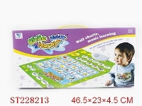 ST228213 - WALL CHARTS
