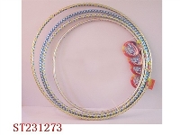 ST231273 - HULAHOOP