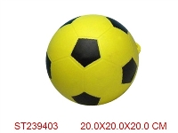 ST239403 - 练习球(20cm)