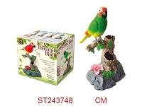 ST243748 - SOUND CONTROL BIRD