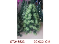 ST246523 - 普通松针树
