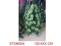 ST246524 - 普通松针树