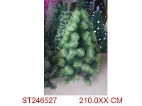 ST246527 - 普通松针树