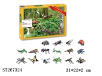 ST267324 - The Bug’s Life From Schoolbook   