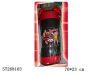 ST268103 - BOXING SET