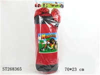 ST268365 - 马达加斯加帆布特大沙包