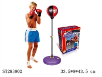 ST293802 - BOXING SERIES