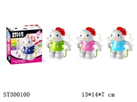 ST300100 - 