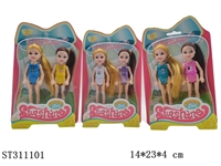 ST311101 - 