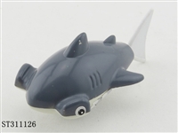 ST311126 - 游尾公子鲨
