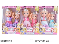 ST312993 - 